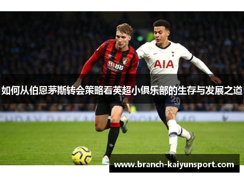 如何从伯恩茅斯转会策略看英超小俱乐部的生存与发展之道