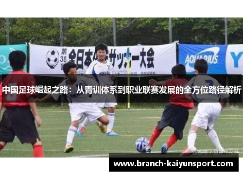 中国足球崛起之路：从青训体系到职业联赛发展的全方位路径解析