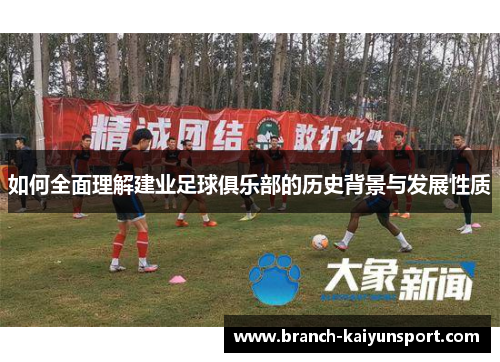 如何全面理解建业足球俱乐部的历史背景与发展性质