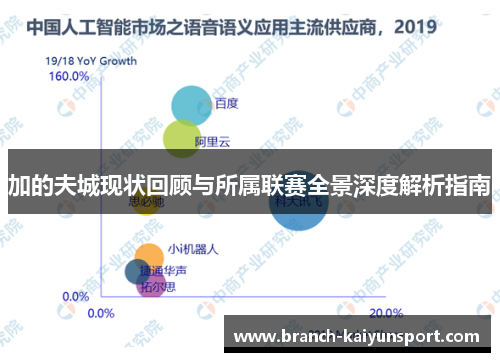 加的夫城现状回顾与所属联赛全景深度解析指南