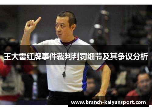 王大雷红牌事件裁判判罚细节及其争议分析 王大雷红牌事件裁判判罚细节及其争议分析