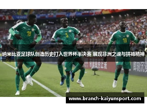 纳米比亚足球队创造历史打入世界杯半决赛 展现非洲之魂与拼搏精神