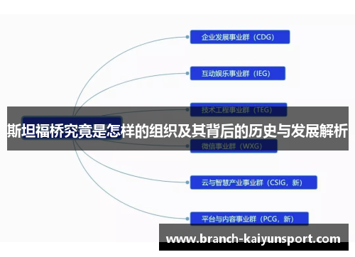斯坦福桥究竟是怎样的组织及其背后的历史与发展解析 斯坦福桥究竟是怎样的组织及其背后的历史与发展解析
