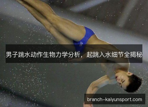 男子跳水动作生物力学分析，起跳入水细节全揭秘